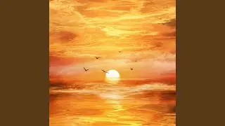Sunset Golden Hour