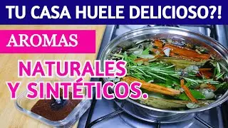 ✅  8 TIPS para PERFUMAR tu casa TODO EL A&Ntilde;O / AMBIENTADORES BARATOS y DURADEROS!