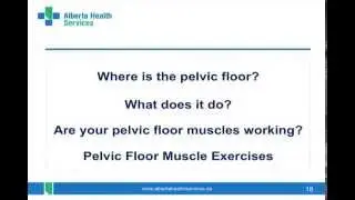 Pelvic Floor - Exercising Your Pelvic Floor