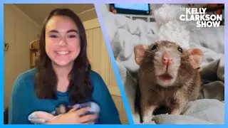 Kelly Meets Adorable Emotional Support Rat Remi