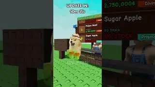 Обновление игры против обновления без игры: вырасти сад😿 #roblox #doge #growagarden