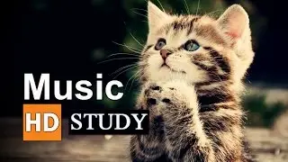 Study Music 2015 ● Focus Concentration Calming Soothing Music ● 3 Hour
