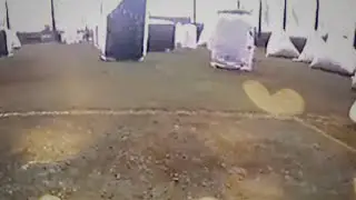 speedball @Blitz paintball