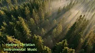 Adavi chetla naduma | Hebron Christian Instrumentals – Bakht Singh Fellowship Songs