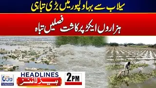 Heavy Flood Destruction In Bahawalpur ! l 2PM News Headlines l 13 Sep 2025 l Rohi