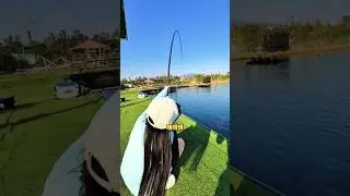 Would big fishs catch | fishing video #fishing #rodfishing #bigfish #viralshort #giantfish #sports