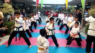 Liga Tolimense de Hapkido