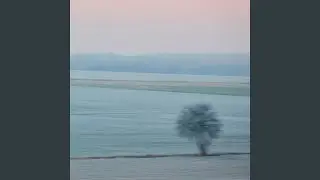 5am