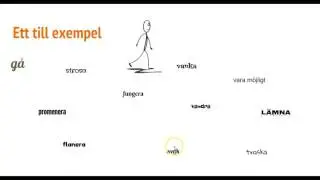 Synonymer