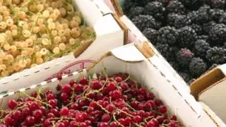 Visit Salt Lake at The Downtown Farmers Market