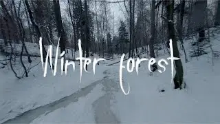 FPV Forest Winter | GoPro Hero 6 2.7k