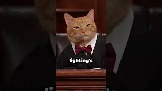 CAT COURT: Guilty of Digital Betrayal 🐾📱