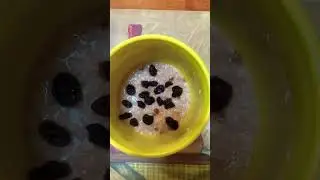 Cooking Oatmeal With Raisins 120 Calories Plus The Fruit