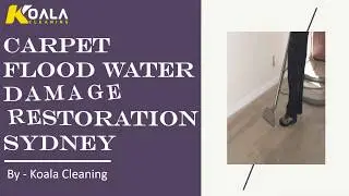 Carpet Flood Water Damage Restoration Sydney | koala Cleaning
