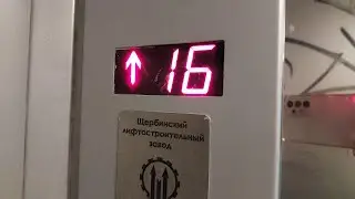 Прикольный звук прибытия пасса! Убогие лифты ЩЛЗ 2010 г.в. Домодедово, пр-кт ак. Туполева 6 [П-1]