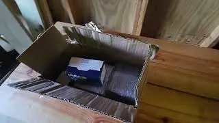 America's Ammunition Company (Ammo) from Palmetto State Armory (unboxing)