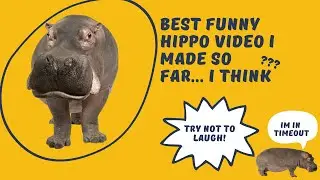 Lazy Animal in World - Gen Z Humour with Hippo The Hippo