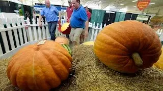 How To Move A Really Big Pumpkin At The Missouri State Fair