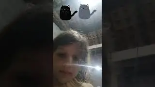 mostrando meus minipets