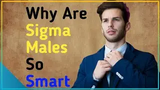 Why Are Sigma Males So Smart - ThinkBig X