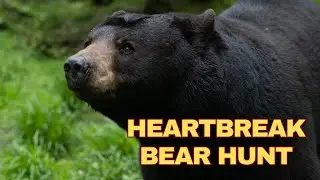 When bear hunting goes bad | Wish I had a do-over!