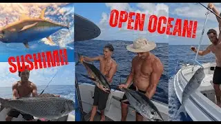 YELLOWFIN... CATCH, FILET, SUSHIMI Game Fishing Great Barrier Reef