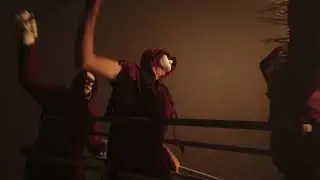 Willow Howl - Pole Dancer (Official Music Video)