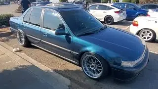 2024 HAM x IMPORT SHOWDOWN 9/8 PT 2. @bayareaham @import_showdown @AutomotiveAnatomy