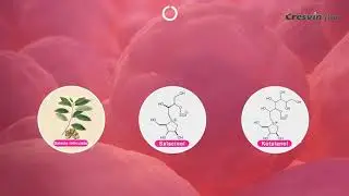 cresvin Beta NEW SOLUTION OF DIABETES