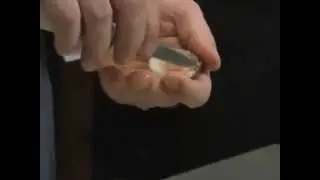 Shucking a Clam