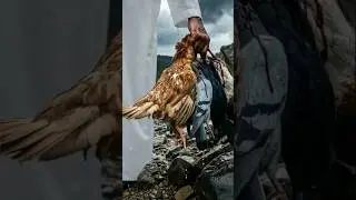 Hazrat Ibrahim as And Four Birds Miracle|| #quran#islamicstatus#foryou#islamicvideo#islamichistory
