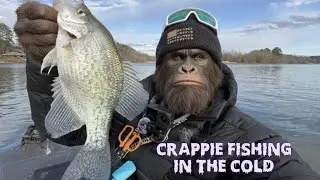 CRAPPIE FISHING IN JANUARY (man its cold out here)