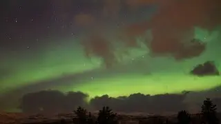Troms&oslash; 2016 - Northern Lights, Whales, Snowdogs and more