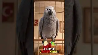 Beautiful parrot 🦜 #yt #ytshorts #viral #youtubeshorts #3danimationshorts