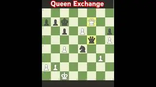 Amazing Queen Exchange. excellent chess game puzzle solution for beginner's.