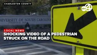 Shocking video of a pedestrian run over, lawyer seeks witnesses