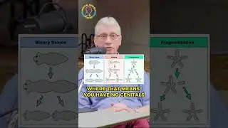 Gender comes from biological sex | Dr. Frans de Waal
