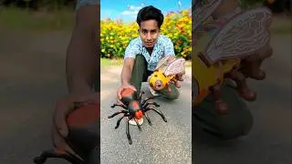 Remote Control Spider Vs Rc Bee 🐝 Unboxing😍