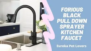 FORIOUS Black Pull Down Sprayer Kitchen Faucet | Amazon | Video | Review