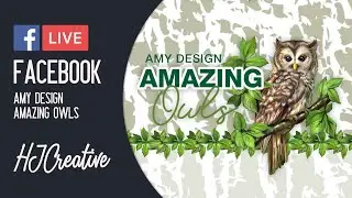 Facebook Live: Amy Design - Amazing Owls 🦉