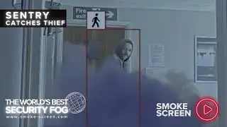 Smoke Screen Sentry Foils Burglary Attempt - Thief Goes Running - Demonstration