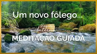 MEDITAÇÃO: UM NOVO FÔLEGO NA SUA VIDA (LUTO)