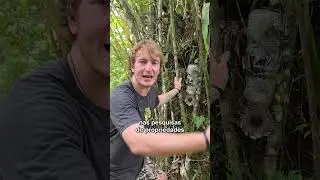 Olha o que uma garrafa pet pode se tornar