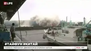 Тайфун 