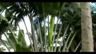Choral AKON'I BETELA-Marikoditra.flv