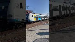 S1/BR 423 Einfahrt Bahnhof Wendlingen (Neckar)