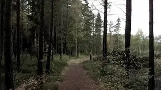 ASTTV - Meditation loop one