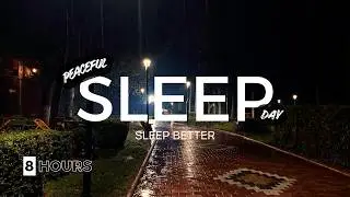 Soothing Night Rain for Better Sleep  💤 | Deep Relaxation & Stress Relief Sounds
