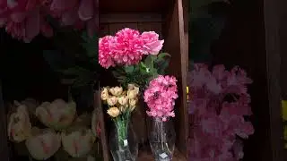 Come with me to a local flower shop in Nicaragua! 🌺🌻🌼