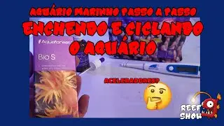 ENCHENDO e CICLANDO o AQUÁRIO - Aquário Marinho Passo a Passo #9